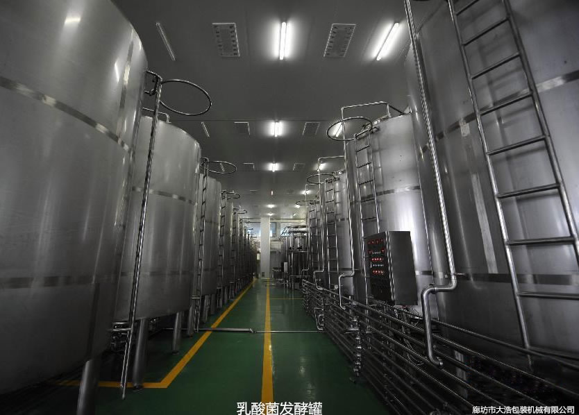 乳酸菌發酵